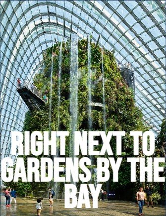gardens-by-the-bay